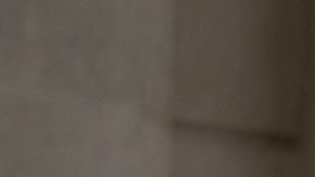 Excandidato a gobernador de Michigan sentenciado a 60 días de prisión por disturbios en el Capitolio