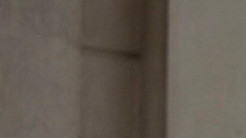 Excandidato a gobernador de Michigan sentenciado a 60 días de prisión por disturbios en el Capitolio