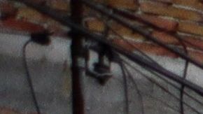 Asesinan a líder de las autodefensas en México