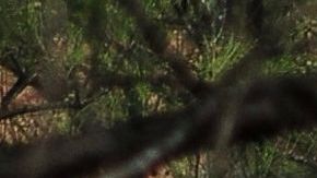 Pentágono informa que documentó 274 ovnis en menos de un año