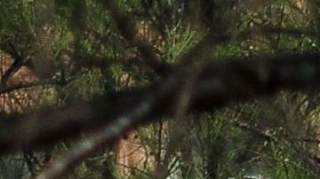 Pentágono informa que documentó 274 ovnis en menos de un año