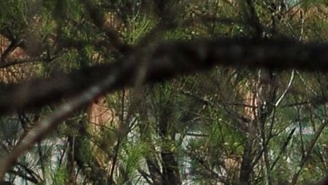 Pentágono informa que documentó 274 ovnis en menos de un año
