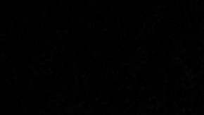 Cifra récord: 50.000 venezolanos cruzaron la frontera desde México a EE.UU en septiembre