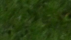 Iñaki Williams tiene omo ídolo a Memo Ochoa y Raúl Jiménez.