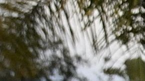 Police officers secure the crime scene as they await investigators after an early morning shooting that left three people dead and four wounded in the Beverly Crest neighborhood of Los Angeles, just north of Beverly Hills, on January 28, 2023. - Three people were shot dead January 28 and four others injured at a luxury home near Beverly Hills, at what US police described as a gathering at a short-term rental property. (Photo by Robyn BECK / AFP) (Photo by ROBYN BECK/ AFP/AFP via Getty Images)