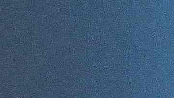 Muere Bobi, el perro más viejo del mundo, a los 31 años