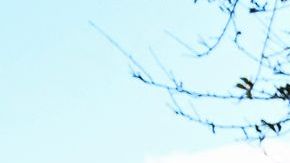 Dan un año de cárcel a hombre de California que acosó por internet a padre de víctima en tiroteo de Parkland