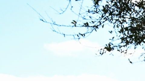 Dan un año de cárcel a hombre de California que acosó por internet a padre de víctima en tiroteo de Parkland