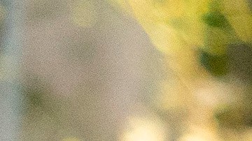 Maria se centrará en un momento muy concreto de la vida de su protagonista