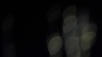 Vivek Ramaswamy quiere deportar a todos los indocumentados.