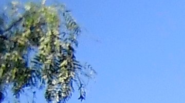 Los Juegos Olímpicos de 2028 se celebrarán en Los Ángeles.