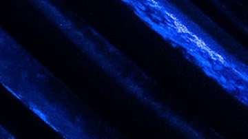 La película Napoleón se rodó en un tiempo sorprendentemente corto, solo 62 días