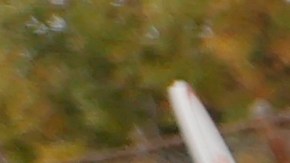 13 millones de niños sufrieron inseguridad alimentaria en EE.UU. durante 2022