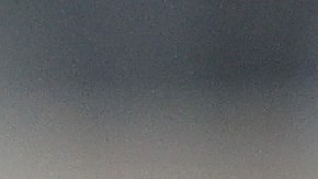 El estatus de Brown fue informado por el Departamento de Policía de Broward en Fort Lauderdale, Florida.