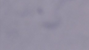 El rumor se desató cuando Eiza dejó un enigmático comentario en la cuenta de Instagram del director James Gunn