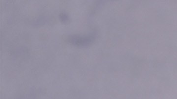 El rumor se desató cuando Eiza dejó un enigmático comentario en la cuenta de Instagram del director James Gunn