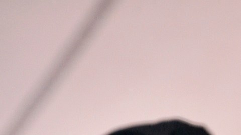 Gustavo Petro criticó la contraofensiva de Israel en Gaza.