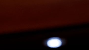 Republicanos nominan a Steve Scalise como su candidato a presidente de la Cámara Baja