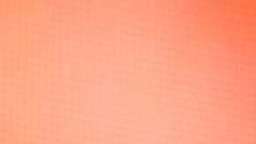 Adele detuvo su concierto para rendir un emotivo homenaje a Matthew Perry.