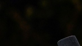 Adele sorprendió a sus seguidores en un reciente concierto en Las Vegas.