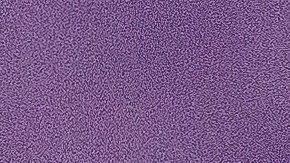 Rafael Nadal en Wimbledon