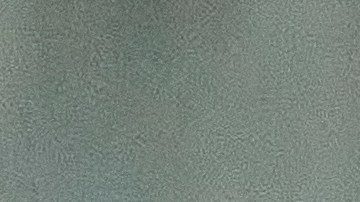 Ricardo Pepi con los colores del seleccionado estadounidense de fútbol.