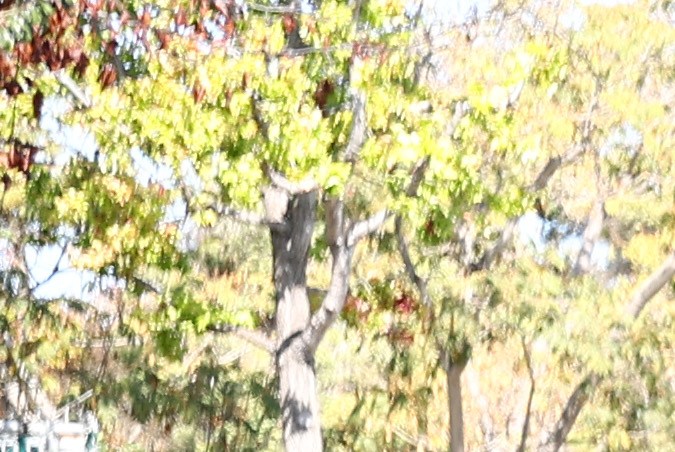 SANTA ANA, CALIFORNIA - OCTOBER 27: A 'Vote' sign is posted at the Orange County Registrar of Voters less than two weeks before midterms Election Day on October 27, 2022 in Santa Ana, California. Orange County is the fifth largest voting jurisdiction in the U.S. and holds 1.8 million registered voters. (Photo by Mario Tama/Getty Images)