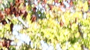 La propuesta quiere ampliar el derecho al voto en Santa Ana.