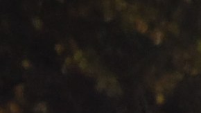 Arrestan a hombre en Chicago y es acusado de crímenes de odio por amenazar con disparar a hombres musulmanes