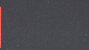 La española Rosalía y el actor Jeremy Allen White cenaron en un restaurante en Los Ángeles.