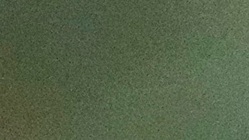 WARRINGTON, ENGLAND - FEBRUARY 13: Police crime scene tape cordons off the scene where 16-year-old Brianna Ghey was found with multiple stab wounds on a path at Linear Park in Culcheth on Saturday on February 13, 2023 in Warrington, England. Two local teenagers have been arrested on suspicion of her murder. (Photo by Christopher Furlong/Getty Images)