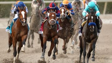 HALLANDALE, FLORIDA - APRIL 01: Cyclone Mischief #9, ridden by Javier Castellano, Mr. Ripple #8, ridden by Edgard Zayas, and Fort Bragg #10, ridden by Joel Rosario, come around turn four during the Florida Derby at Gulfstream Park on April 01, 2023 in Hallandale, Florida. (Photo by Matthew Stockman/Getty Images)