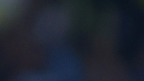 América y Monterrey se enfrentarán en la fecha 14 del Torneo Apertura 2023.