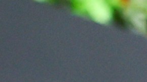 Sergio "Checo" Pérez junto a su compañero en Red Bull, Max Verstappen.