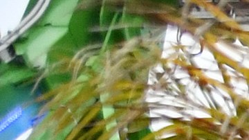 SANTA MONICA, CALIFORNIA - MAY 17: View of Ferris wheel during Primo Park After Dark hosted by Amazon Freevee and Universal Television at Pacific Park on the Santa Monica Pier on May 17, 2023 in Santa Monica, California. (Photo by Jon Kopaloff/Getty Images for Amazon Freevee)