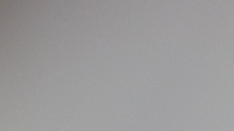 La continuidad de Veljko Paunovic con las Chivas de Guadalajara es una gran incógnita.