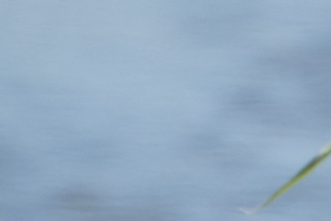 Texas demanda al Gobierno de Biden por cortar alambre de púas en la frontera con México.