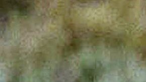 Mujer de 73 años fue atacada por un oso cuando caminaba por un parque nacional en Montana