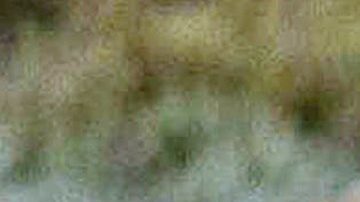 Mujer de 73 años fue atacada por un oso cuando caminaba por un parque nacional en Montana