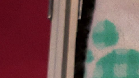 Corte Suprema de Georgia permite que la prohibición del aborto de 6 semanas se mantenga por ahora