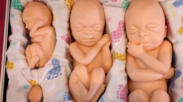 Corte Suprema de Georgia permite que la prohibición del aborto de 6 semanas se mantenga por ahora
