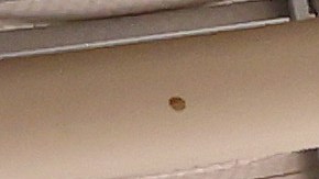 LOS ANGELES, CALIFORNIA - JULY 20: The Space Shuttle Endeavour is displayed at the California Science Center on July 20, 2023 in Los Angeles, California. The ‘Go for Stack’ process began today and will eventually install the full NASA Space Shuttle Endeavour into vertical launch position for display in the new Samuel Oschin Air and Space Center at the museum. July 20 is Space Exploration Day which marks the first crewed moon mission and moon landing on July 20, 1969. (Photo by Mario Tama/Getty Images)