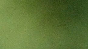 Charles Leclerc y Sergio Pérez.