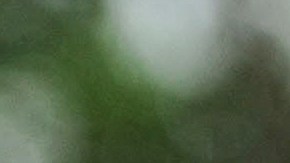 Carlos Vives y Shakira en un concierto por Colombia en 2008.