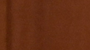 Escándalo en el Vaticano: Papa Francisco echó a obispo en Polonia tras organizar orgía gay