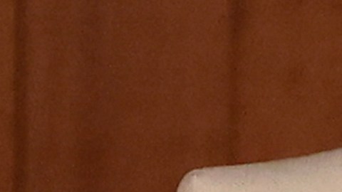 Escándalo en el Vaticano: Papa Francisco echó a obispo en Polonia tras organizar orgía gay