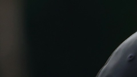 Sergio "Checo" Pérez y Charles Leclerc conversando durante algún momento de la temporada 2023 de la F1.