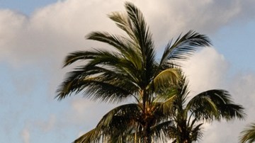 West Maui reabrirá al turismo el 1 de noviembre