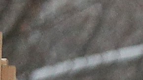 Conductora de autobús escolar de Nueva York despedida por beber alcohol trasladando a niños