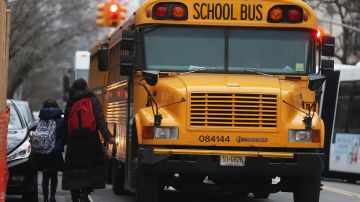Conductora de autobús escolar de Nueva York despedida por beber alcohol trasladando a niños